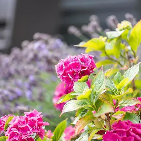 Ae314-marstal-bredgade-9 Feriehus Marstal