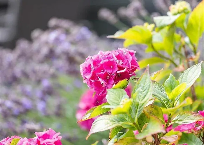 Ae314-marstal-bredgade-9 Holiday home Marstal